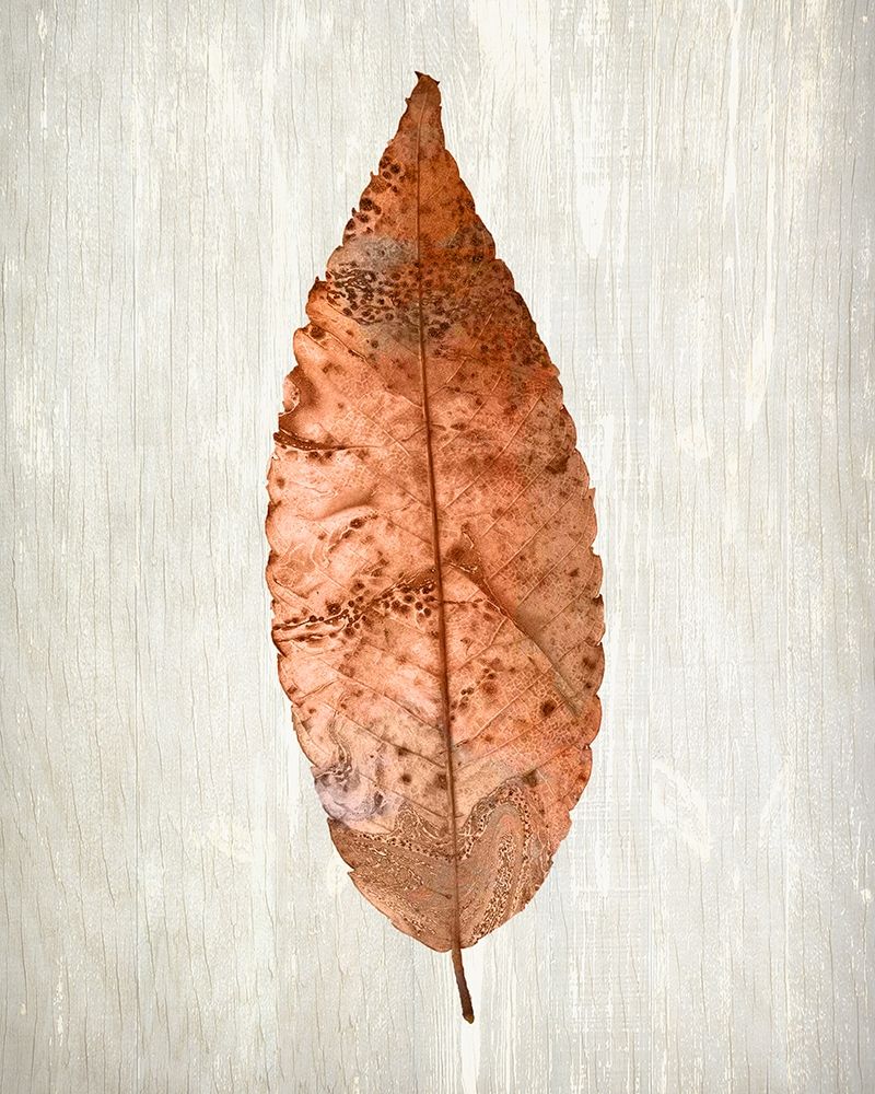 Copper Leaves 1 art print by Kimberly Allen for $57.95 CAD