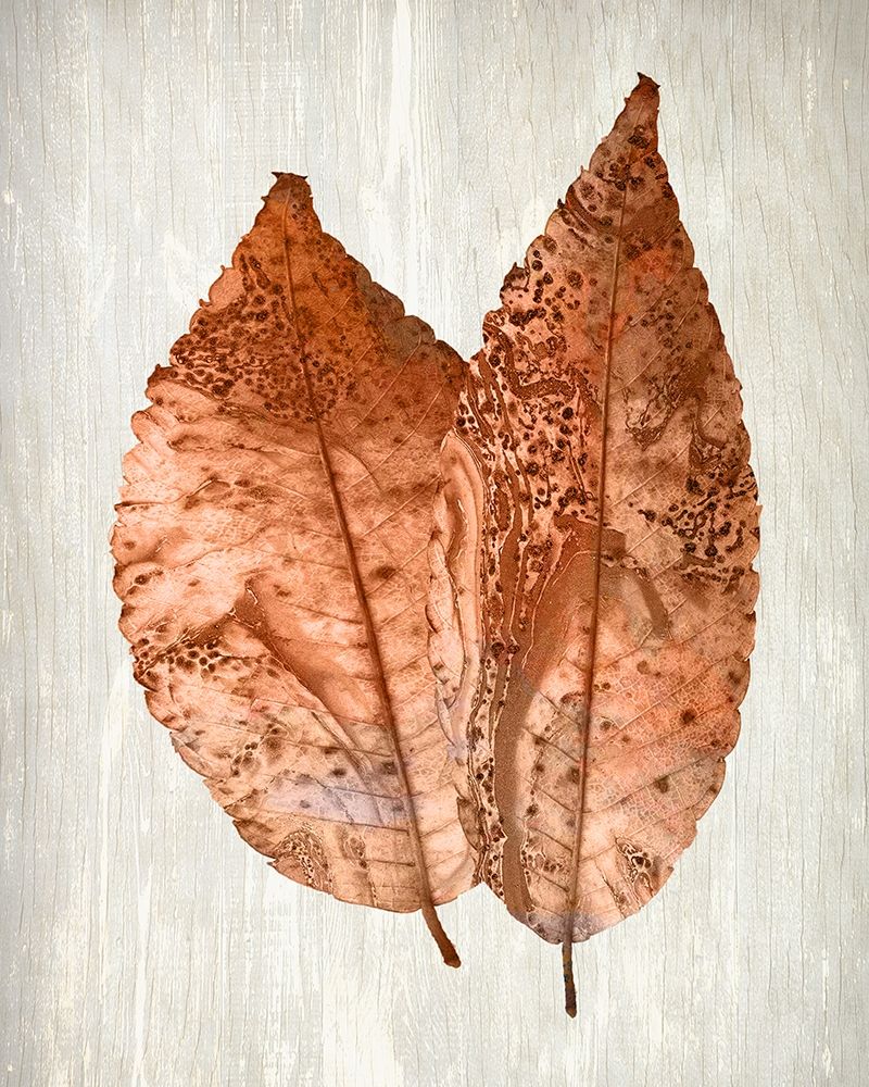 Copper Leaves 2 art print by Kimberly Allen for $57.95 CAD