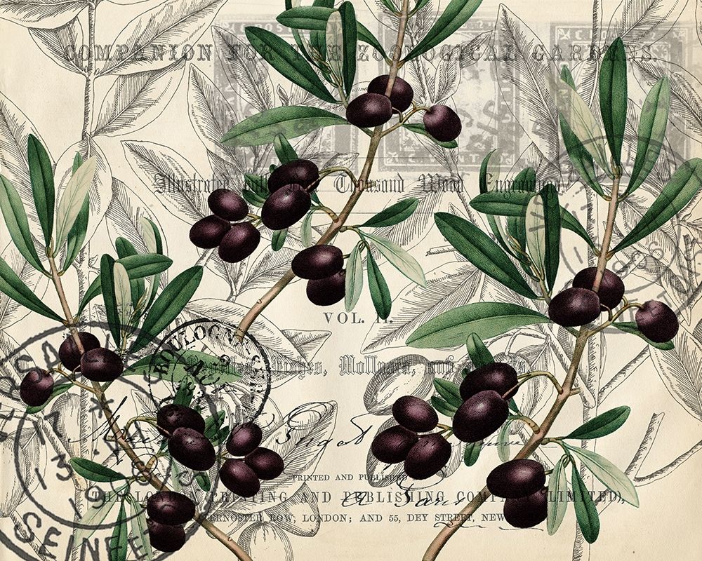 Olive Branches art print by Kimberly Allen for $57.95 CAD