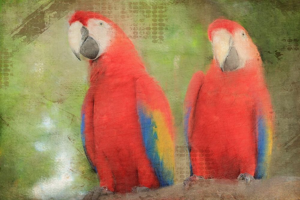 Best Friends art print by Kimberly Allen for $57.95 CAD