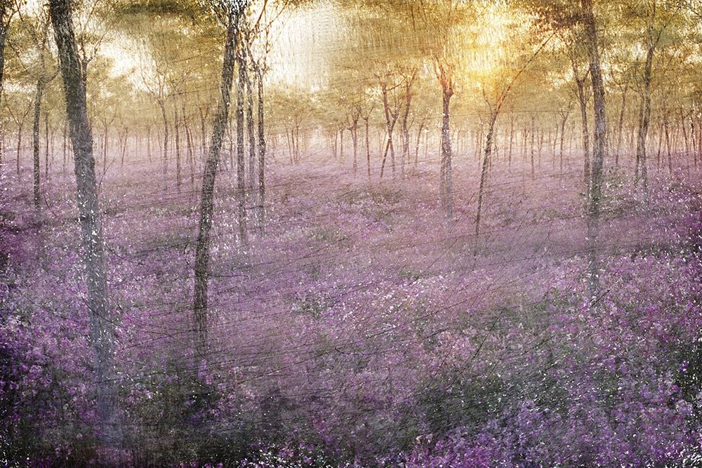 The Grove art print by Kimberly Allen for $57.95 CAD