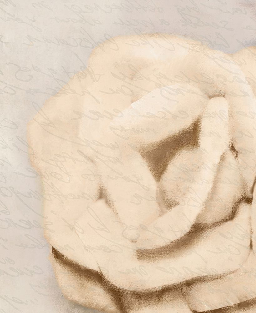 Natural 2 art print by Kimberly Allen for $57.95 CAD