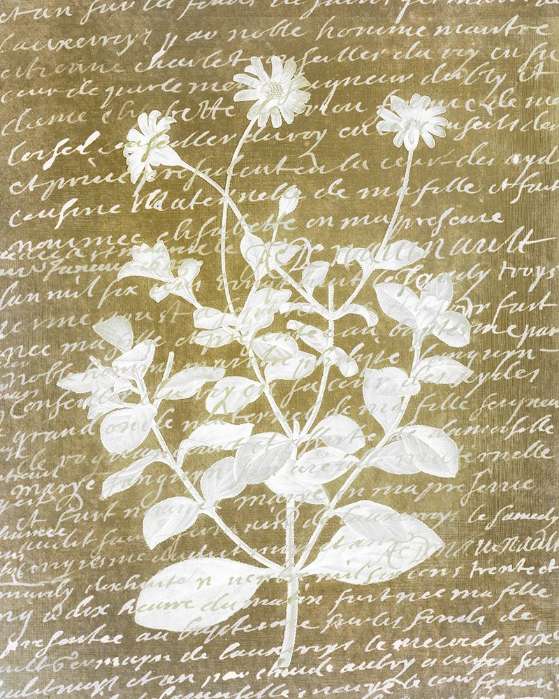 Notes on Floral 1 art print by Kimberly Allen for $57.95 CAD