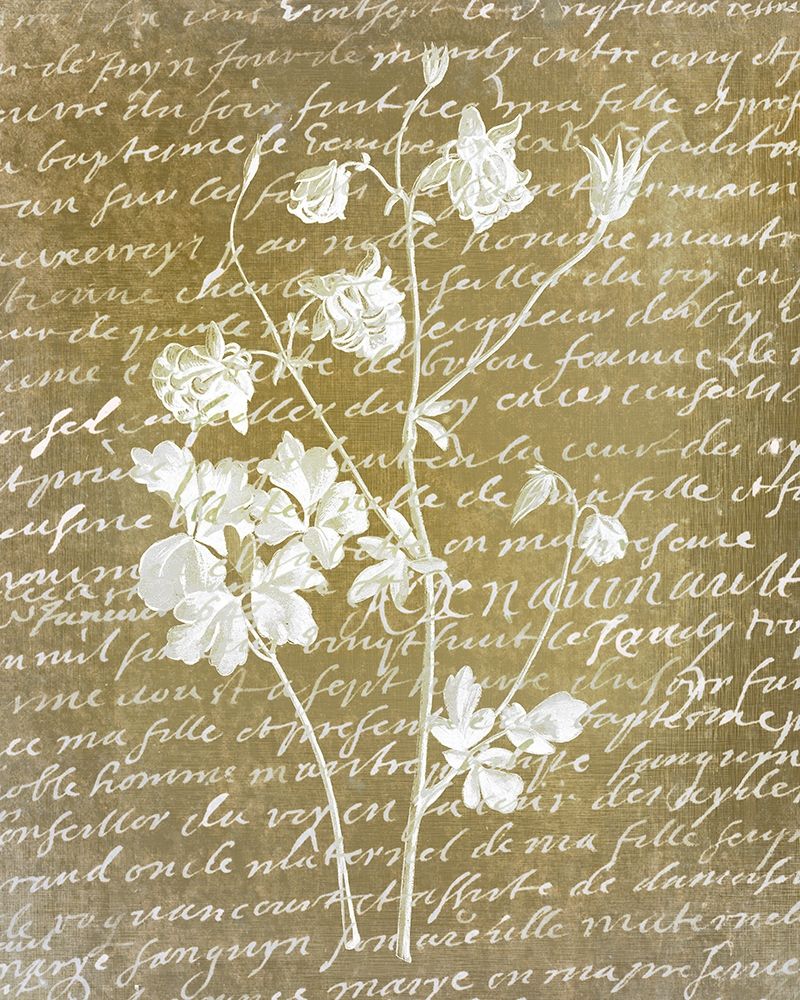 Notes on Floral 2 art print by Kimberly Allen for $57.95 CAD