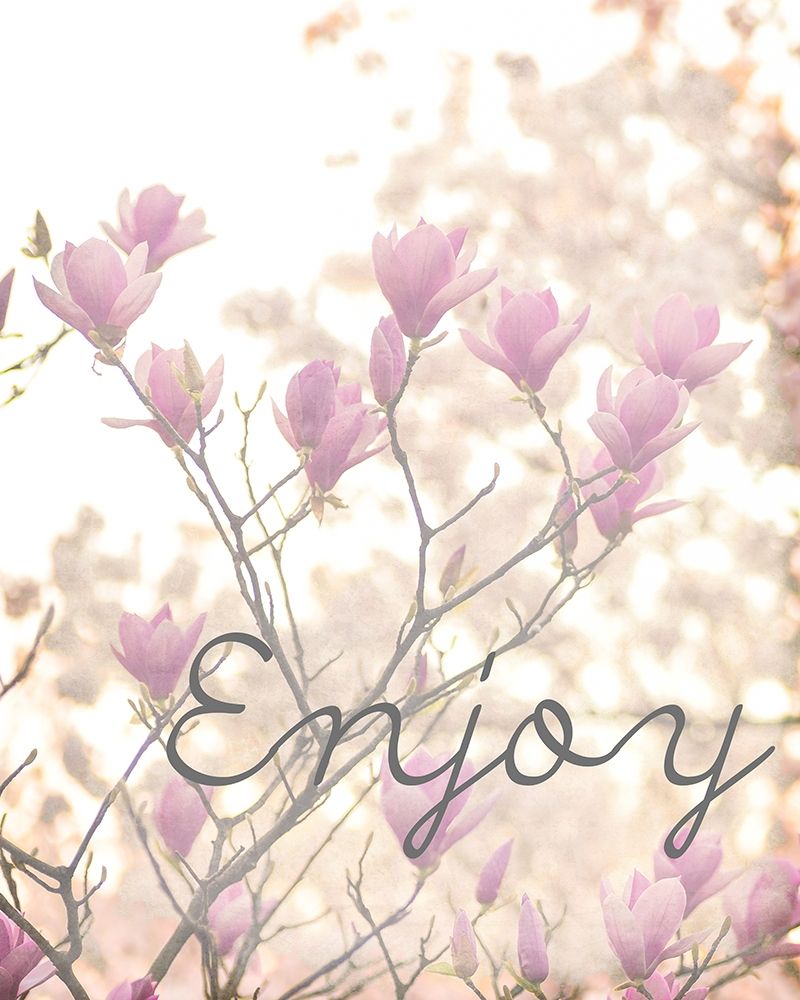 Cherry Blossoms 3 art print by Kimberly Allen for $57.95 CAD