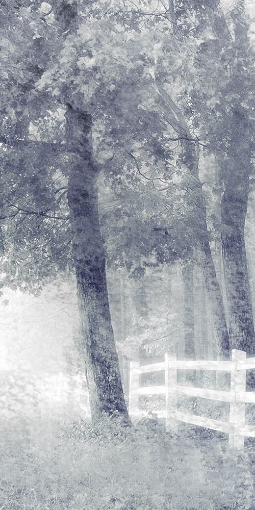 Fenceline art print by Kimberly Allen for $57.95 CAD