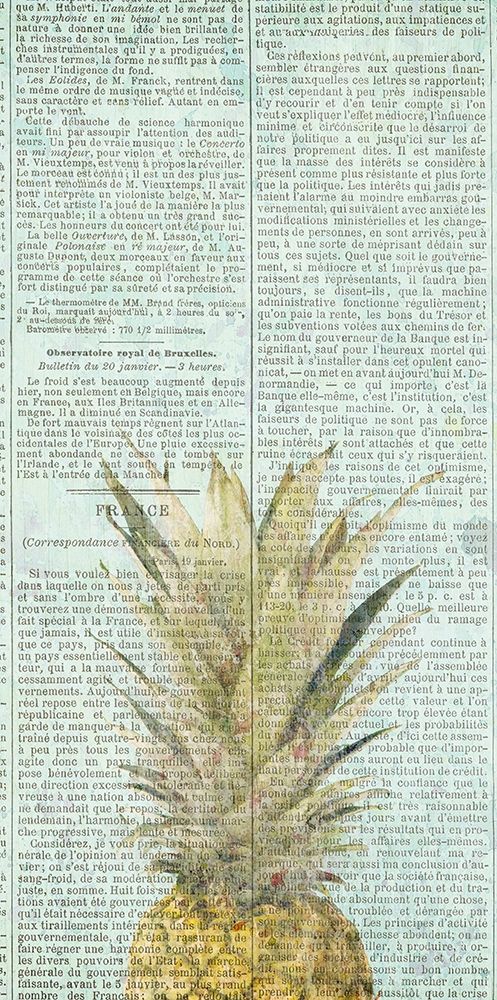 Newspaper Pineapple art print by Kimberly Allen for $57.95 CAD
