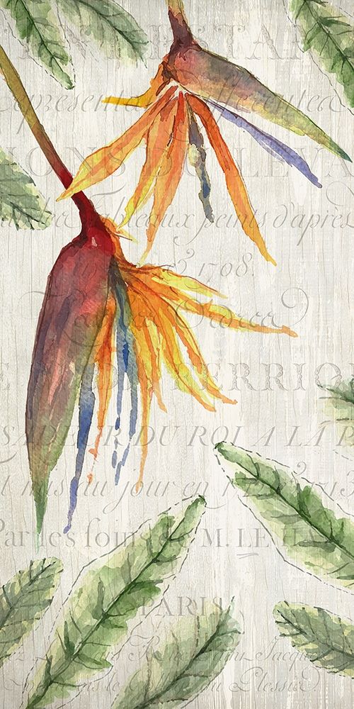 Tropical Blooms 1 art print by Kimberly Allen for $57.95 CAD