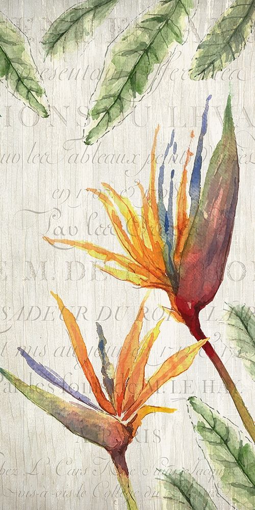 Tropical Blooms 2 art print by Kimberly Allen for $57.95 CAD