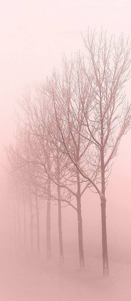 Pink Dawn 1 art print by Kimberly Allen for $57.95 CAD