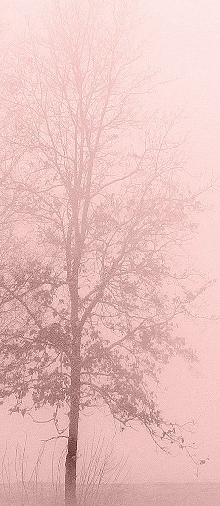 Pink Dawn 2 art print by Kimberly Allen for $57.95 CAD