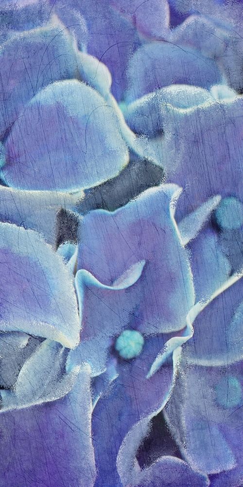 Hydrangea Panel 2 art print by Kimberly Allen for $57.95 CAD