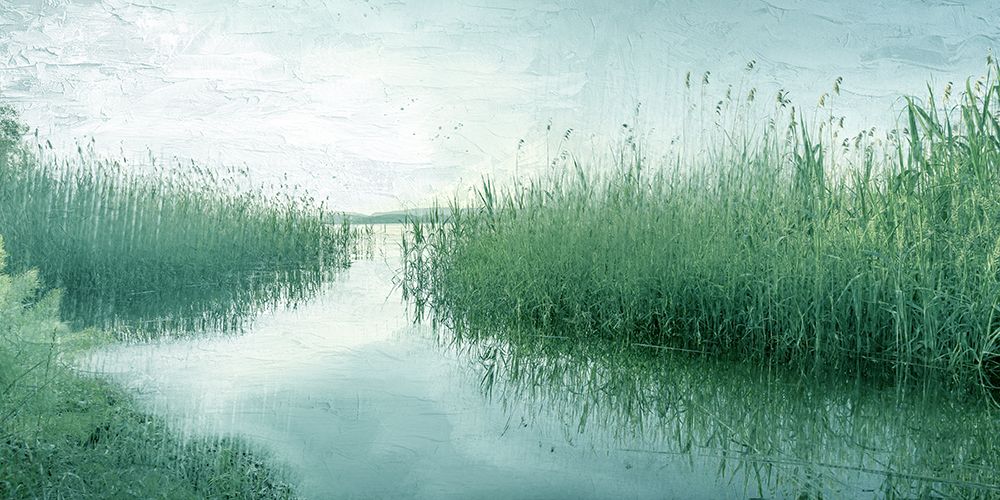 Marsh art print by Kimberly Allen for $57.95 CAD