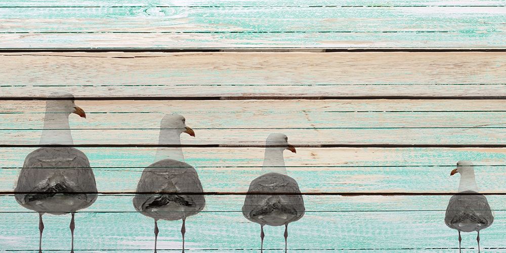 Seagulls art print by Kimberly Allen for $57.95 CAD