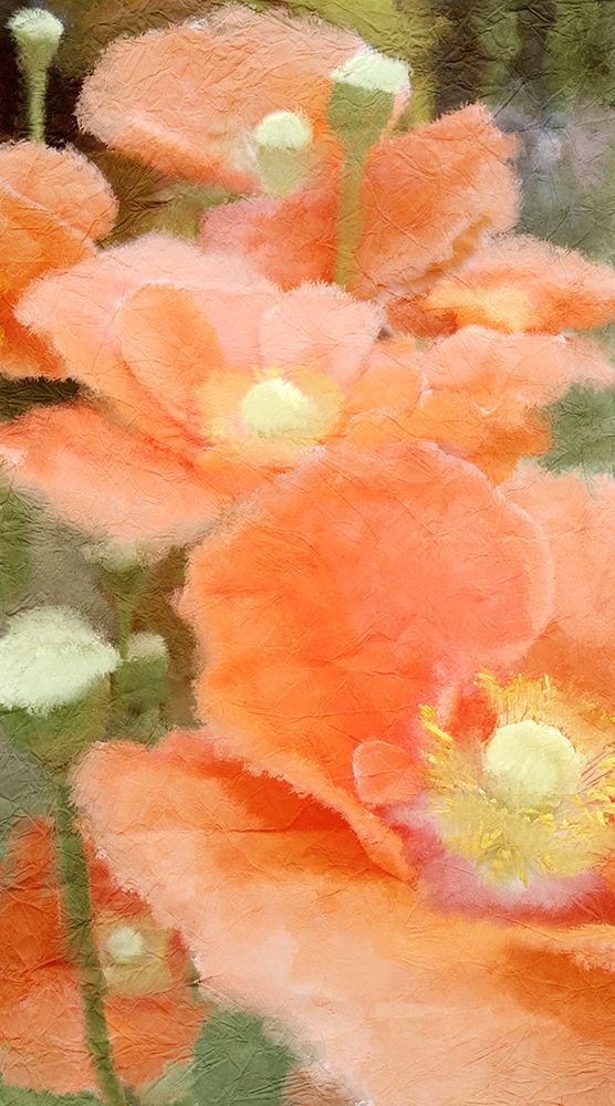 Summer Orange art print by Kimberly Allen for $57.95 CAD