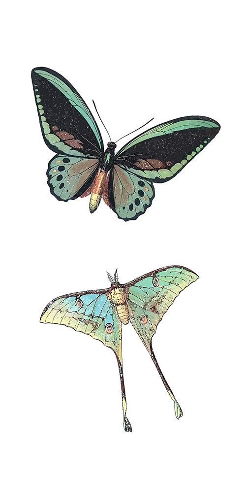 Fly Free 1 art print by Kimberly Allen for $57.95 CAD