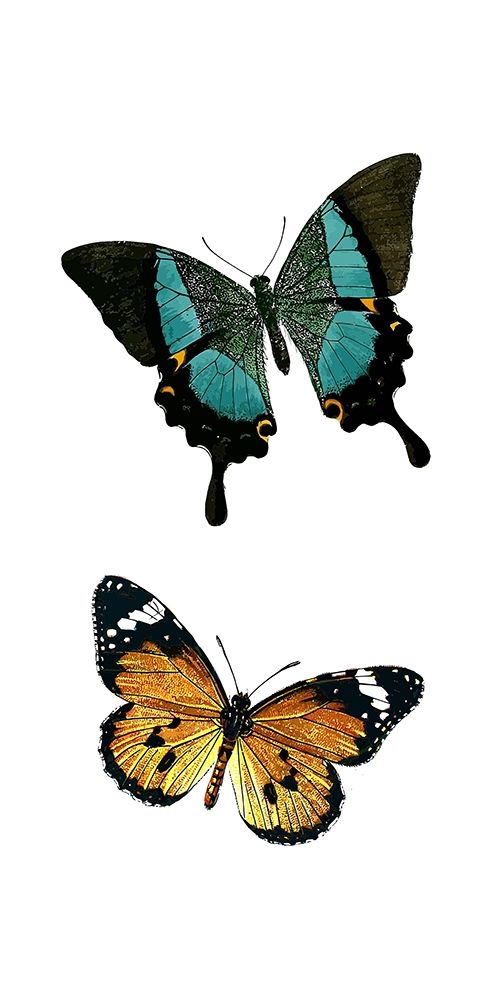 Fly Free 2 art print by Kimberly Allen for $57.95 CAD