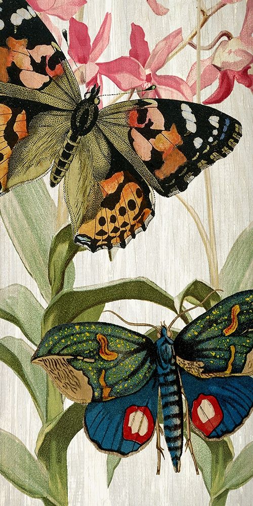 Butterfly World 1 art print by Kimberly Allen for $57.95 CAD