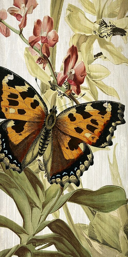Butterfly World 2 art print by Kimberly Allen for $57.95 CAD