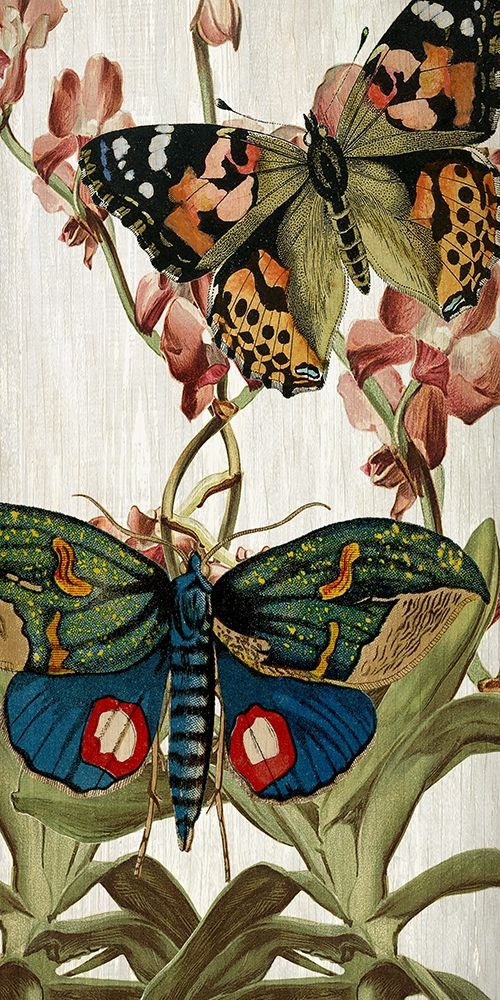 Butterfly World 3 art print by Kimberly Allen for $57.95 CAD