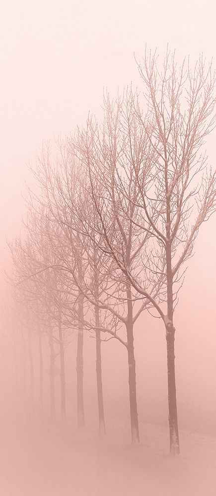 Pinkest Dawn 1 art print by Kimberly Allen for $57.95 CAD