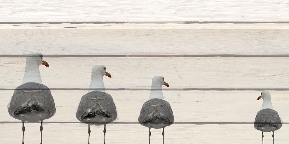 Seagulls on Wood art print by Kimberly Allen for $57.95 CAD