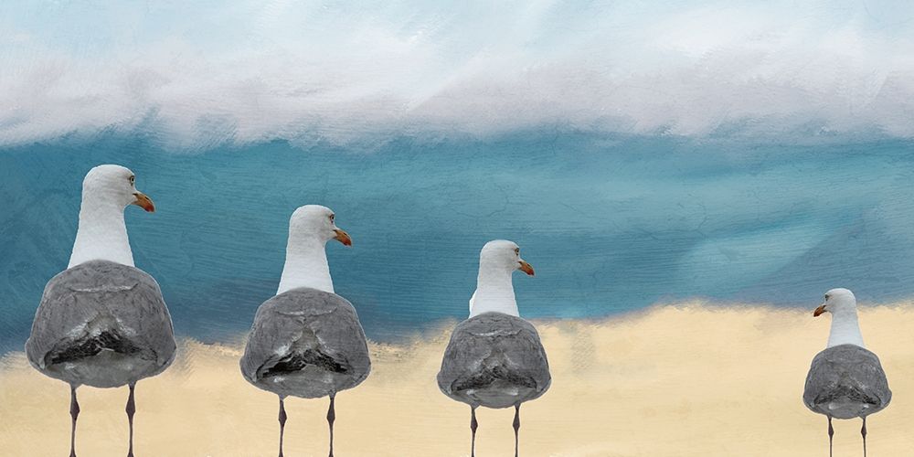 Seagulls at the Beach art print by Kimberly Allen for $57.95 CAD