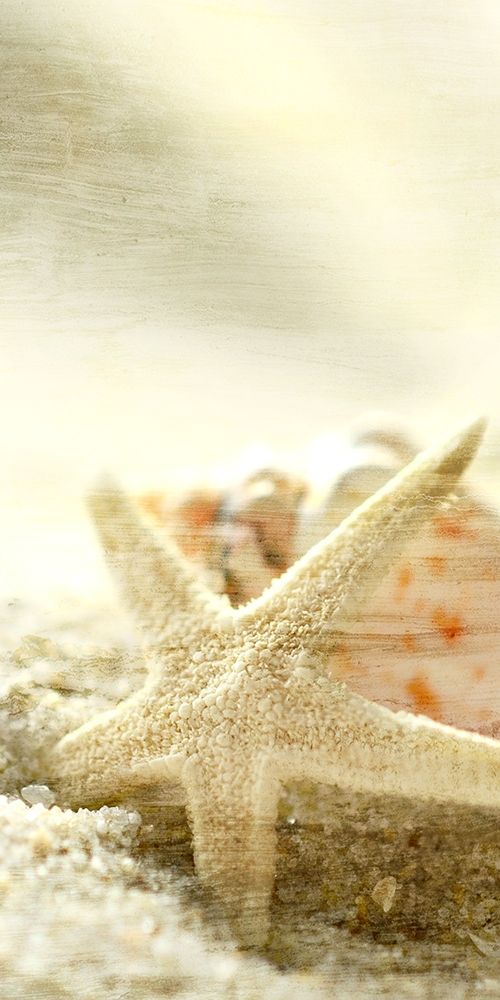 Starfish Beach 6 v2 art print by Kimberly Allen for $57.95 CAD