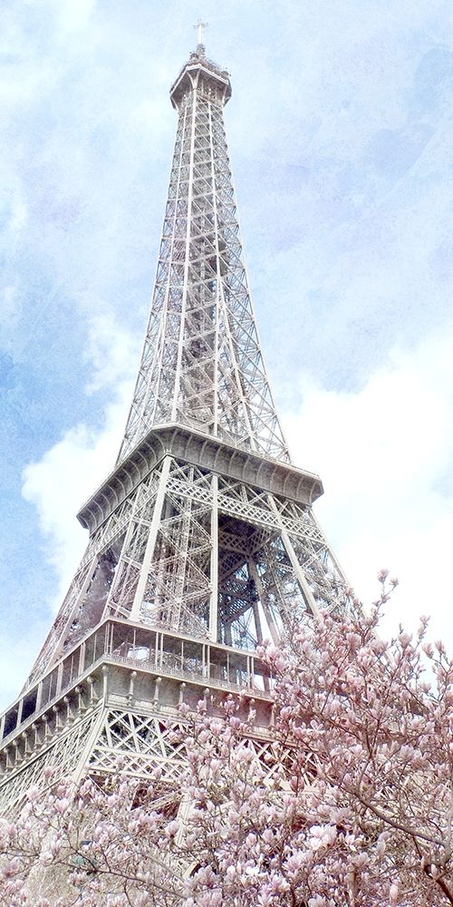 Paris in Bloom 1 art print by Kimberly Allen for $57.95 CAD