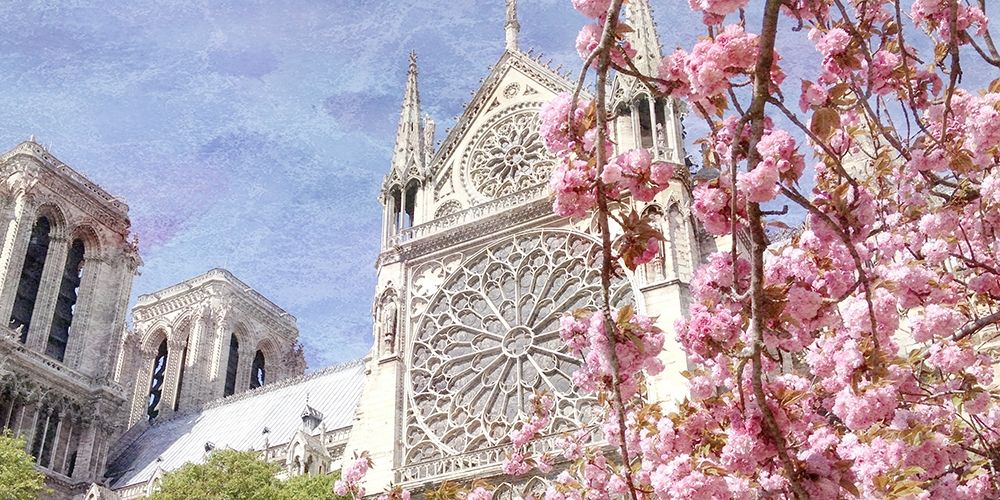 Paris in Bloom 3 art print by Kimberly Allen for $57.95 CAD
