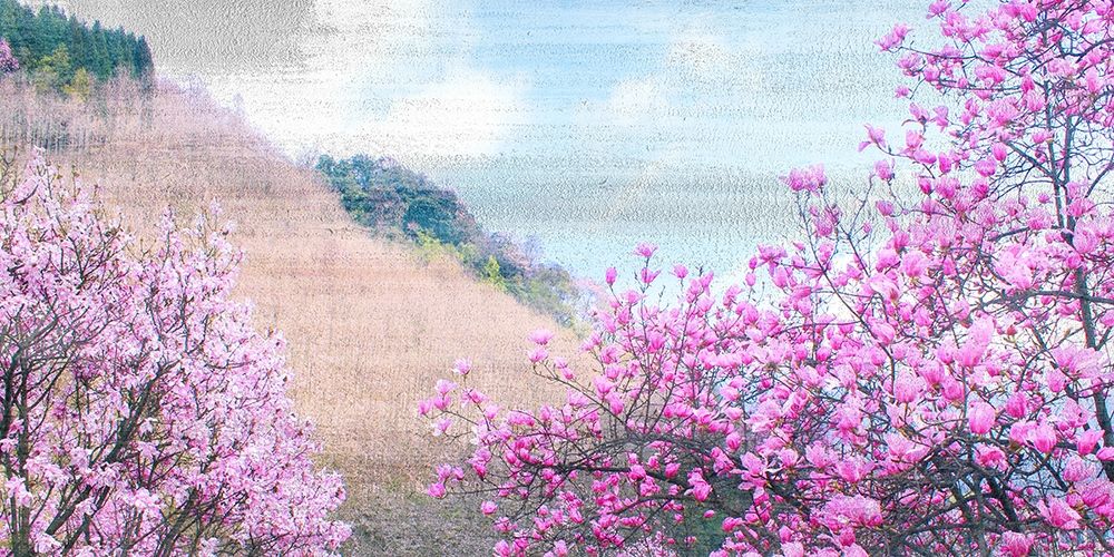 Hillside Blooms art print by Kimberly Allen for $57.95 CAD