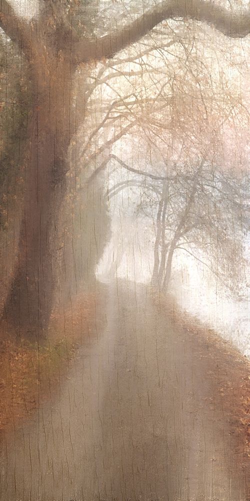 Into the Mist art print by Kimberly Allen for $57.95 CAD