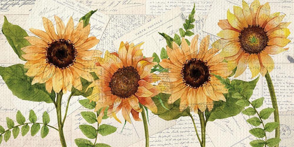 Sunflower Letters art print by Kimberly Allen for $57.95 CAD