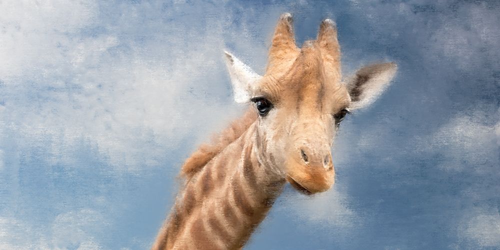 High View art print by Kimberly Allen for $57.95 CAD
