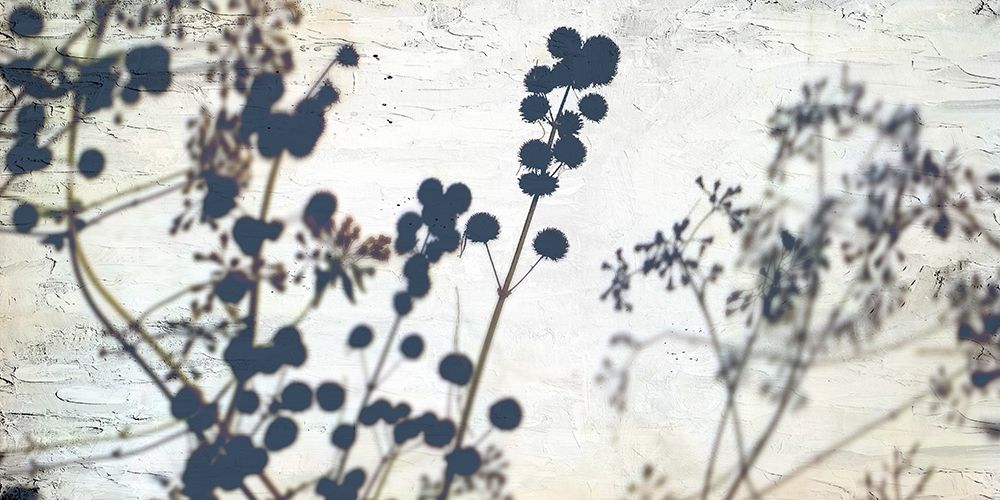 Dried Flowers art print by Kimberly Allen for $57.95 CAD