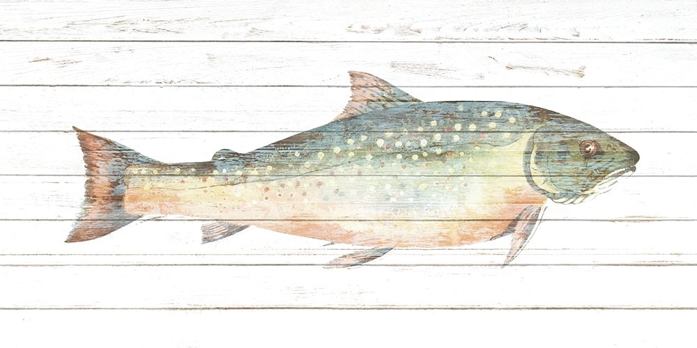 Trout 2 art print by Kimberly Allen for $57.95 CAD