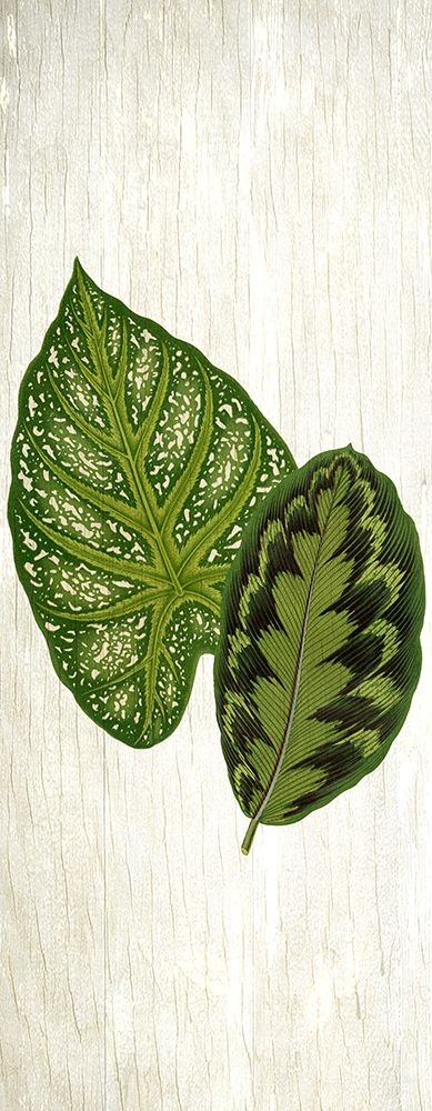 Botanical Greens 1 art print by Kimberly Allen for $57.95 CAD