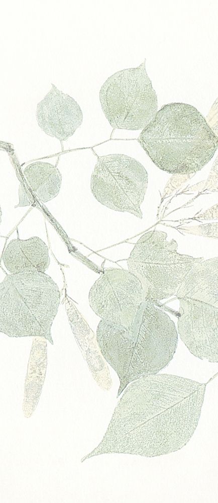 Soft Leaves 1 art print by Kimberly Allen for $57.95 CAD