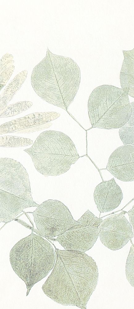 Soft Leaves 2 art print by Kimberly Allen for $57.95 CAD