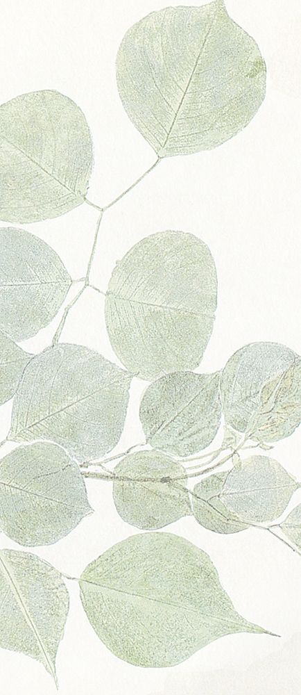 Soft Leaves 3 art print by Kimberly Allen for $57.95 CAD