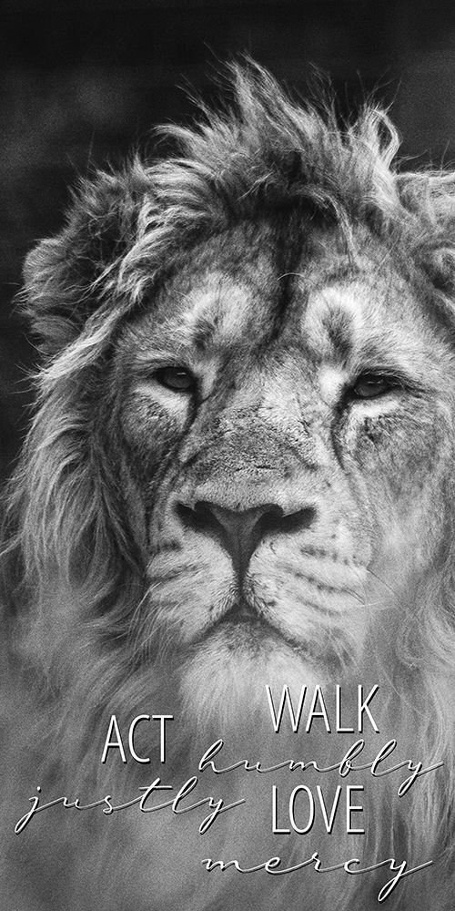 Act Justly Lion art print by Kimberly Allen for $57.95 CAD