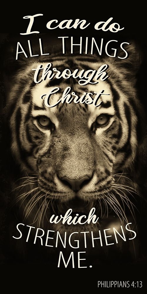 All Things Tiger art print by Kimberly Allen for $57.95 CAD