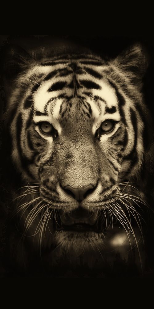 All Things 1 art print by Kimberly Allen for $57.95 CAD