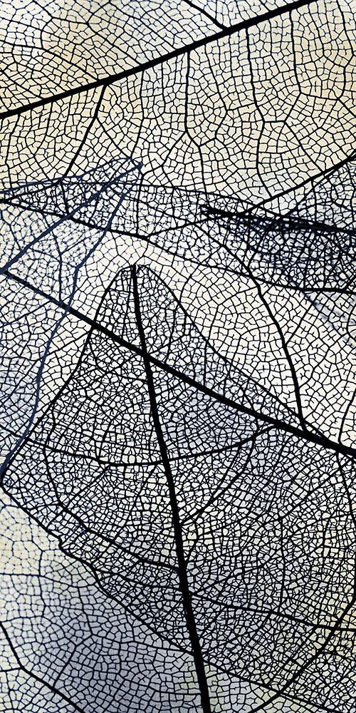 Transparent 1 art print by Kimberly Allen for $57.95 CAD