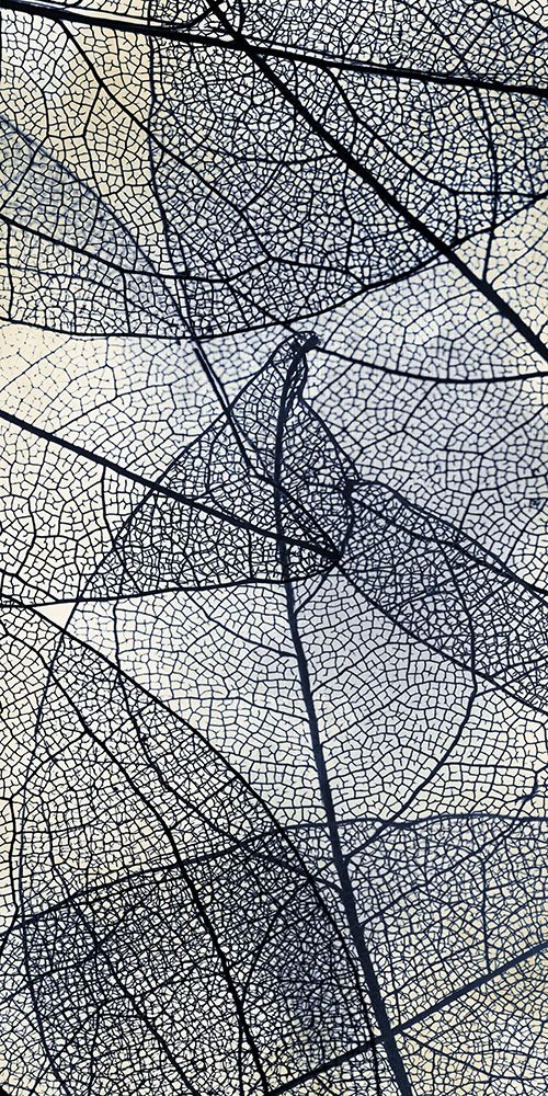 Transparent 3 V5 art print by Kimberly Allen for $57.95 CAD
