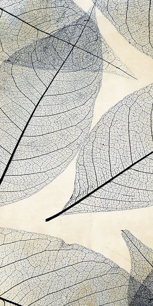 Transparent Leaves 2 art print by Kimberly Allen for $57.95 CAD