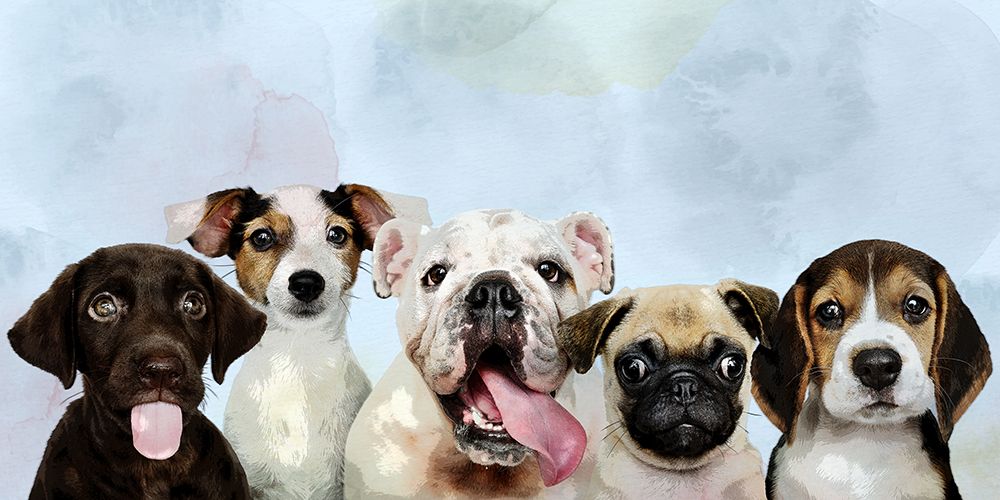 Puppy Portrait art print by Kimberly Allen for $57.95 CAD