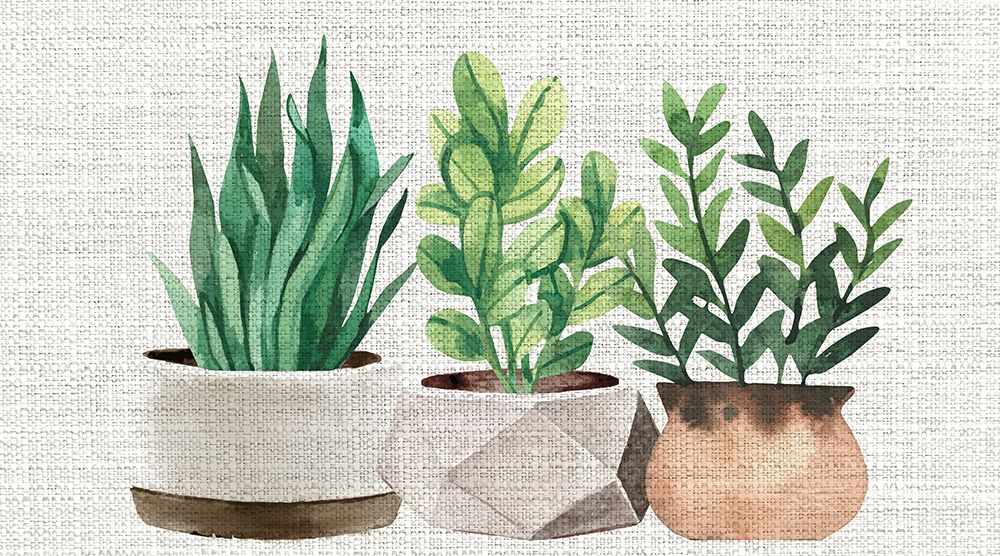 Burlap Plants art print by Kimberly Allen for $57.95 CAD