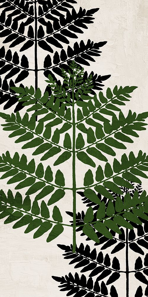 Pressed Ferns Panel 1 art print by Kimberly Allen for $57.95 CAD