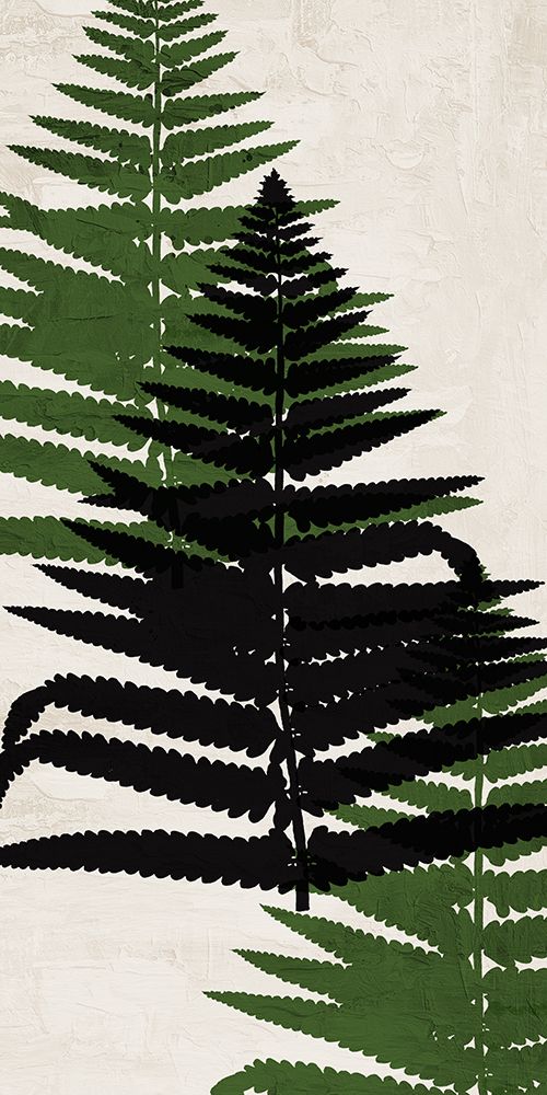 Pressed Ferns Panel 2 art print by Kimberly Allen for $57.95 CAD